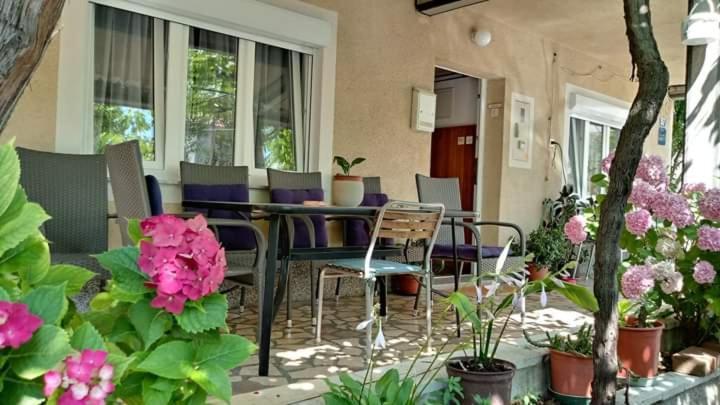 Апартаменти Apartman Paulina Селце Екстер'єр фото